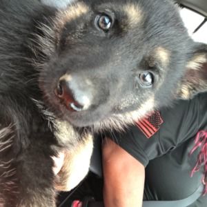 Meet your Posher, Melissa